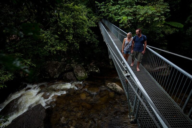 daintree-rainforest-national-park-swing-bridge