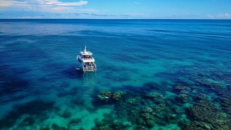 Snorkelling tour to the Great Barrier Reef from Port Douglas