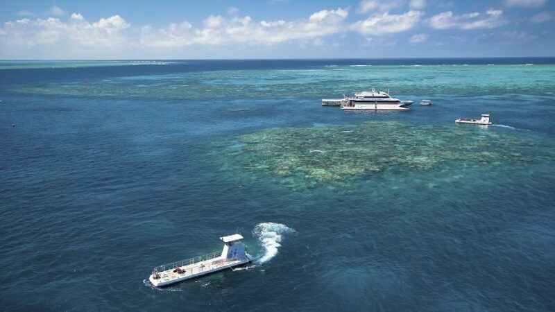 Outer Barrier Reef tour with Pontoon and submersible activities Quicksilver