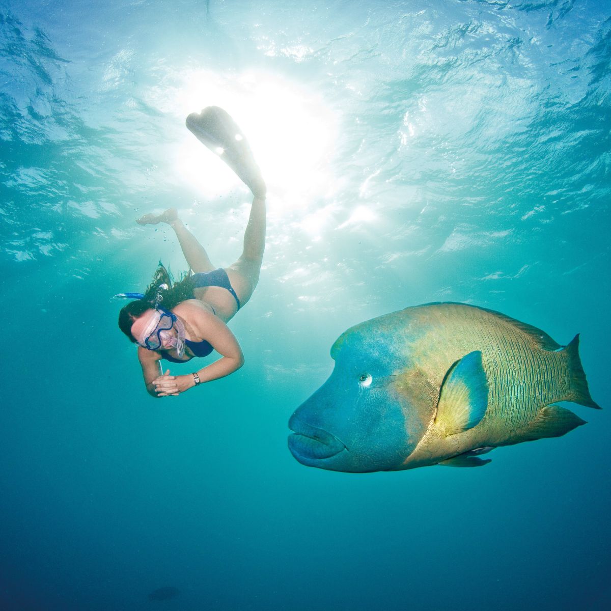 patrick adventure day tours tahiti
