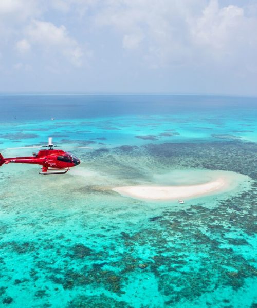 great barrier reef day tour from port douglas