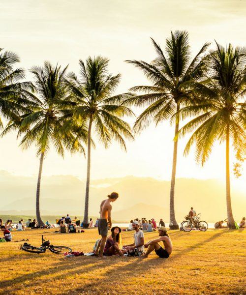 abc tours port douglas