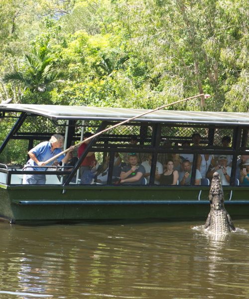 abc tours port douglas