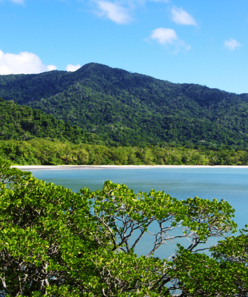 mossman gorge float tours