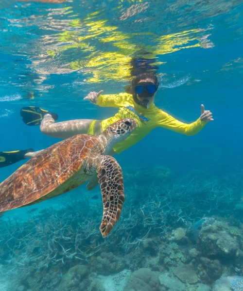 ocean safari port douglas