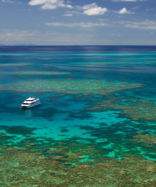 low isles snorkelling tour