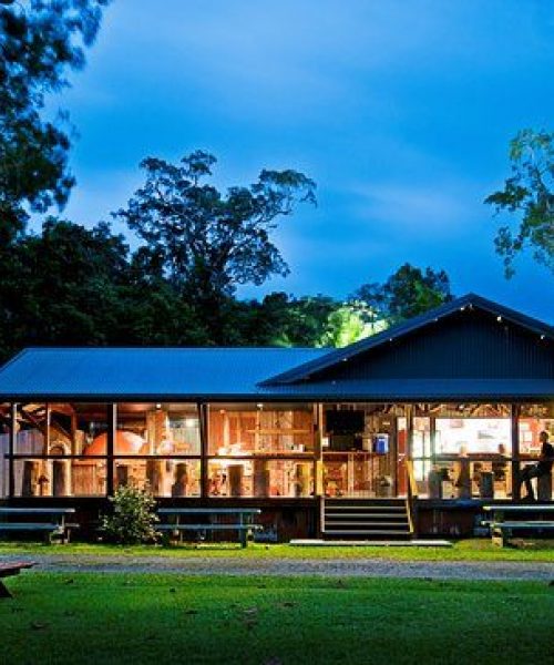 daintree river electric boat cruises