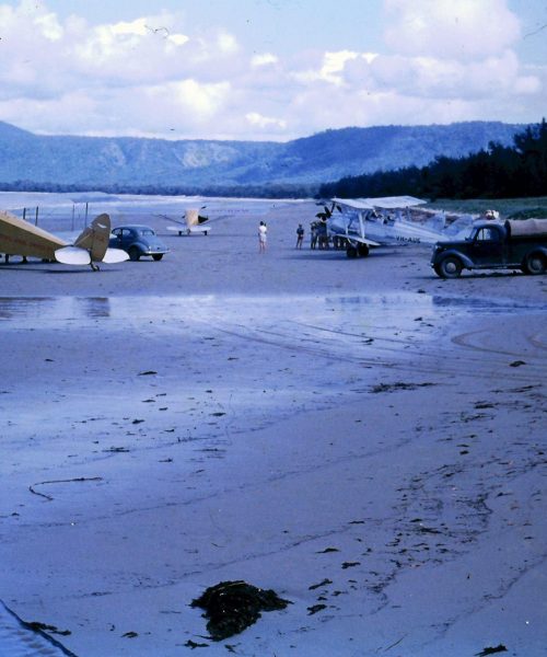 tour cape tribulation daintree