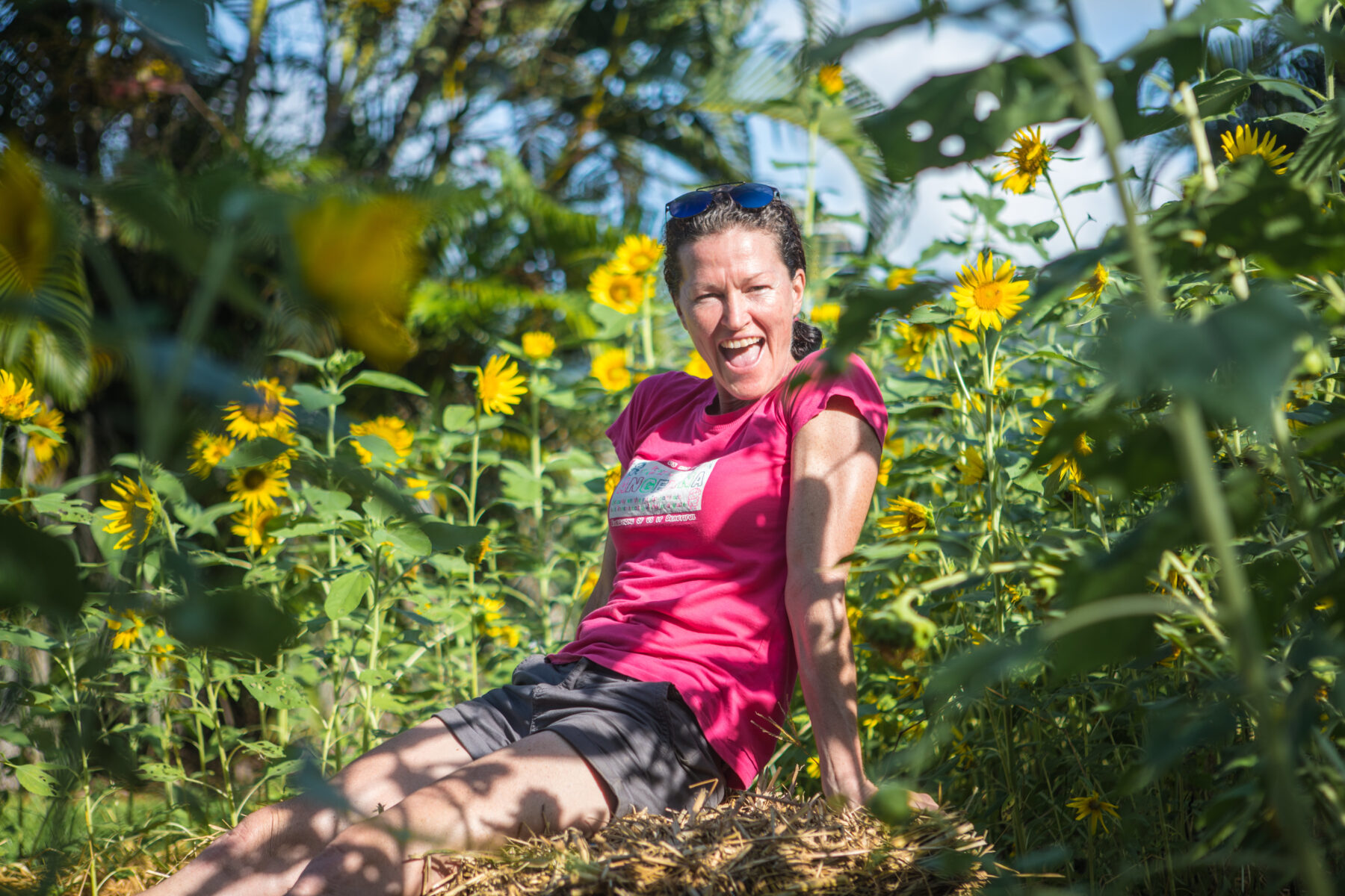 port-douglas-daintree-local-ange-constable-sunflower