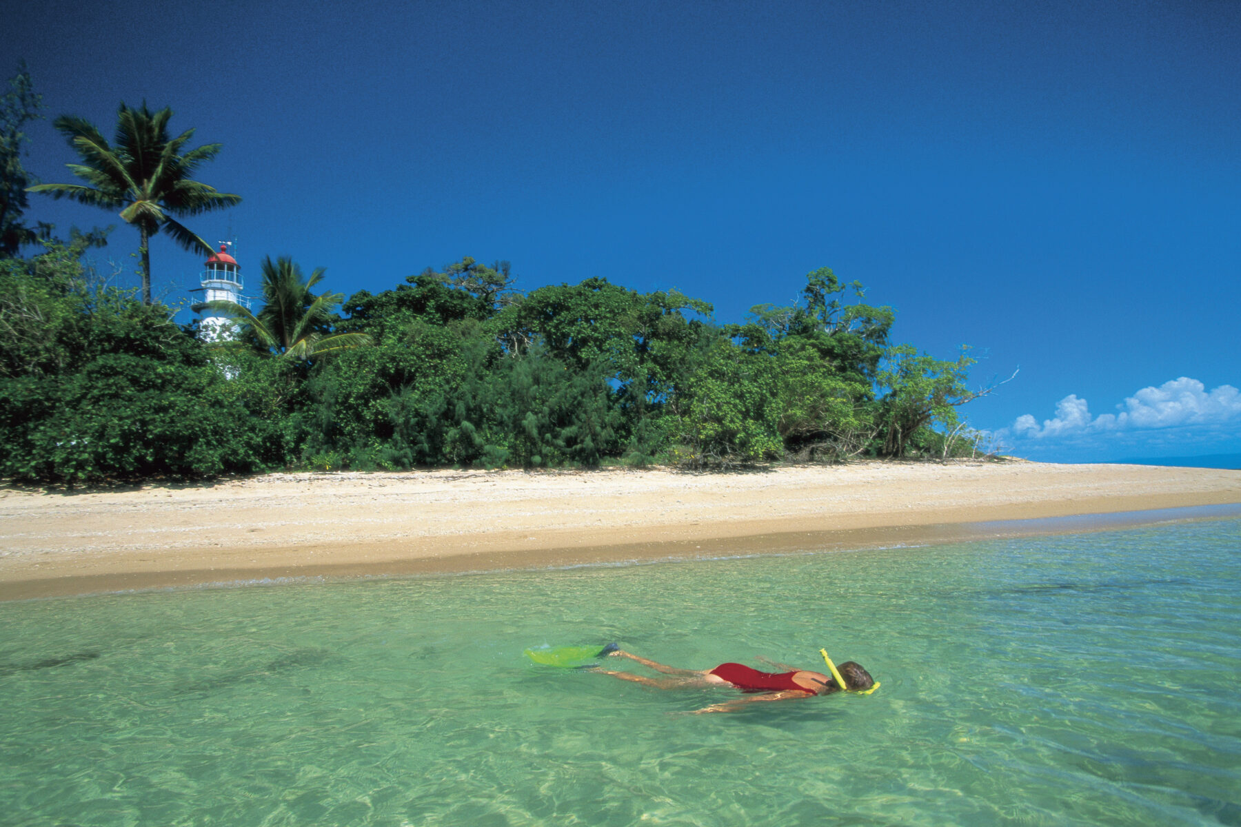 low-isles-port-douglas-snorkelling-off-island