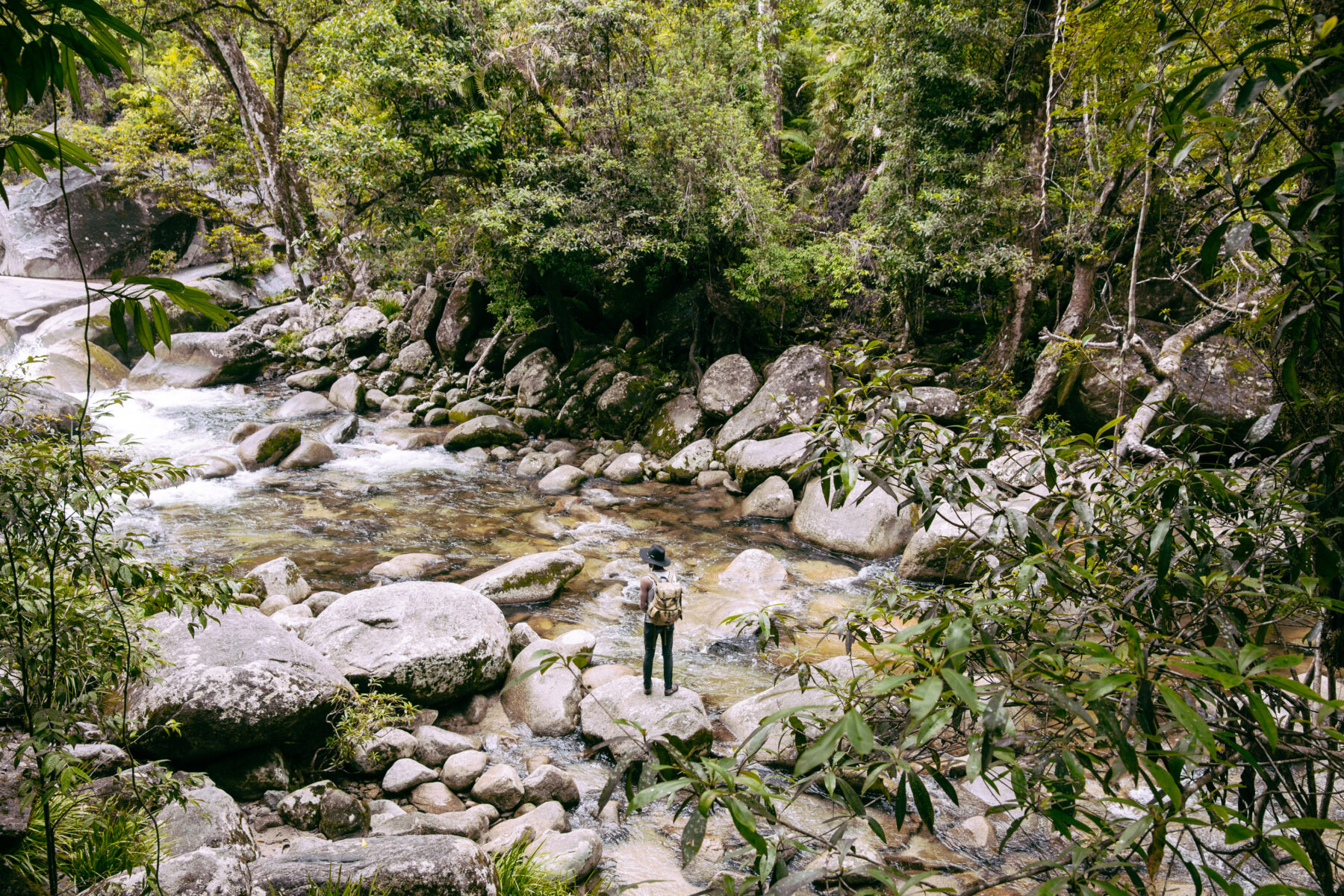 daintree-rainforest-mossman-gorge-ranger-standing-on-rock