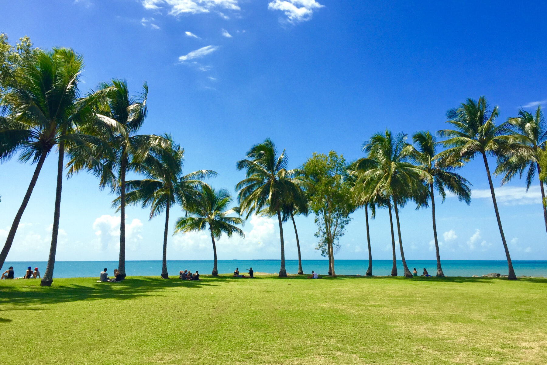 rex-smeal-park-port-douglas-blue-skies