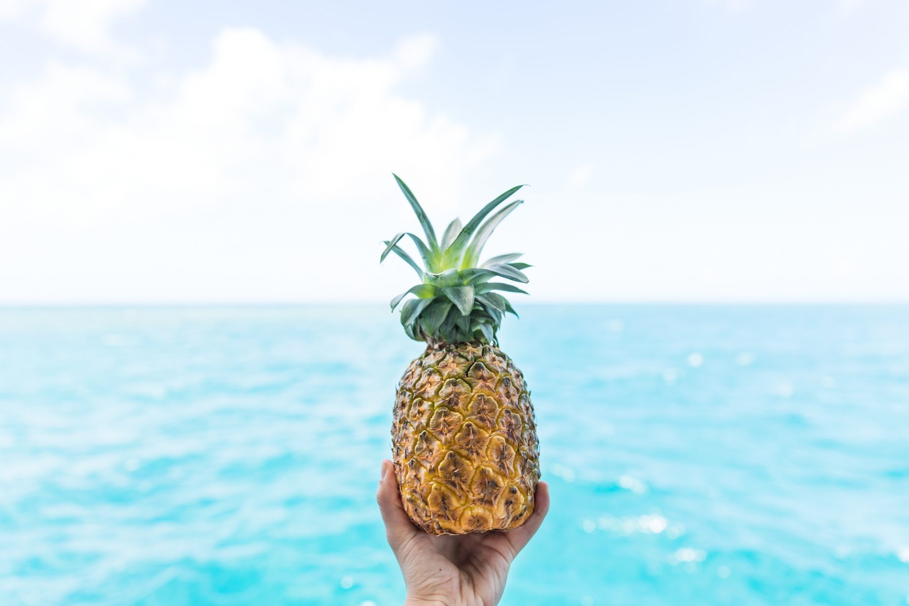 tropical-fruits-pineapple-in-hand-over-water-port-douglas