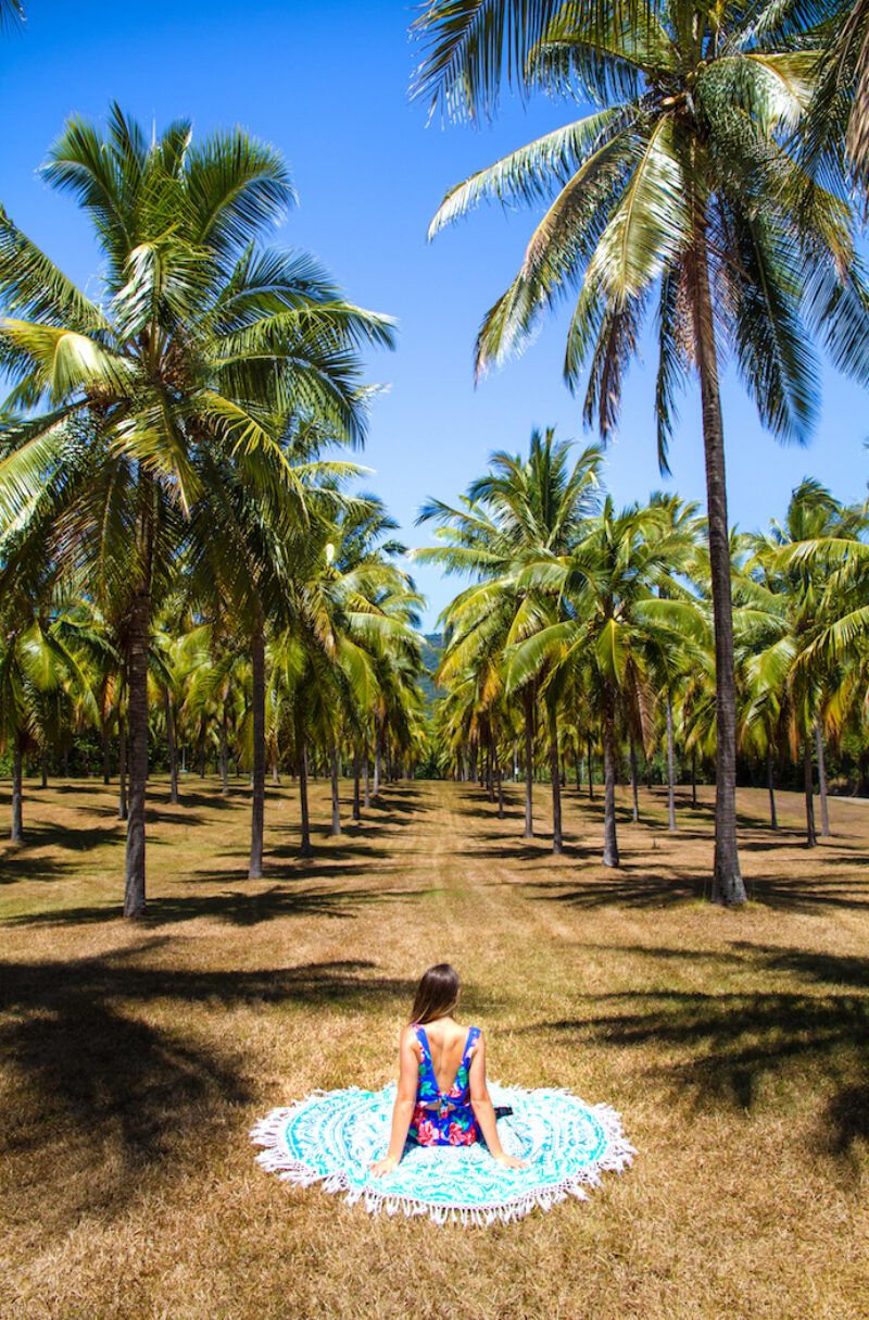thala-beach-nature-reserve-palm-tree-fields-girl-sitting-down