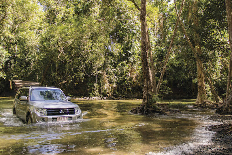 daintree-rainforest-daintree-safaris-4wd