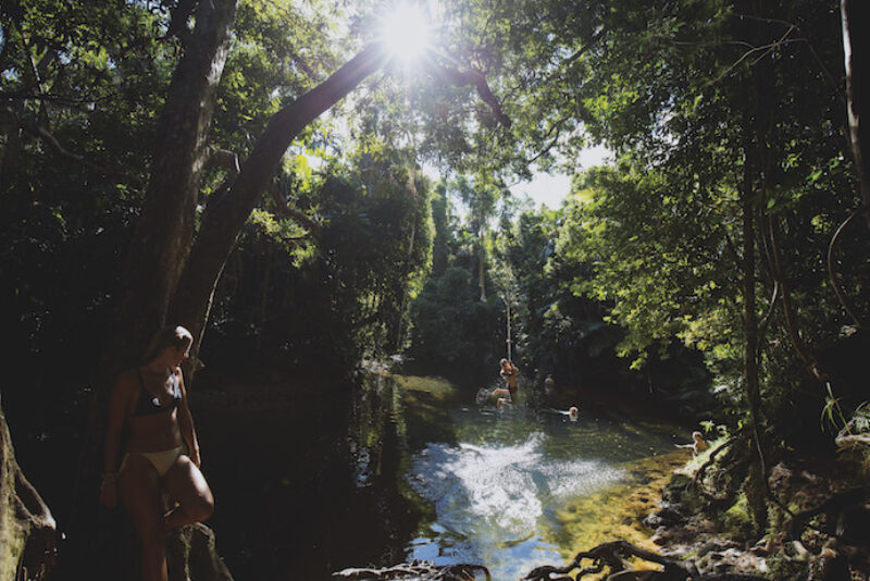 daintree-rainforest-cape-tribulation-masons-swimming-hole