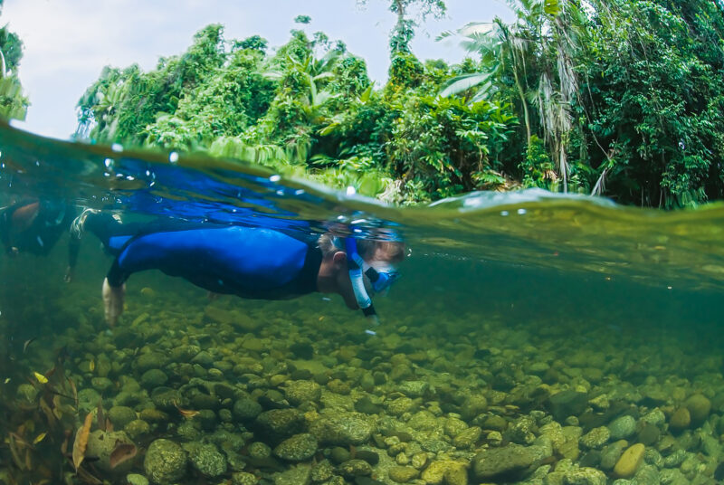 daintree-rainforest-back-country-bliss-river-drift-snorkelling