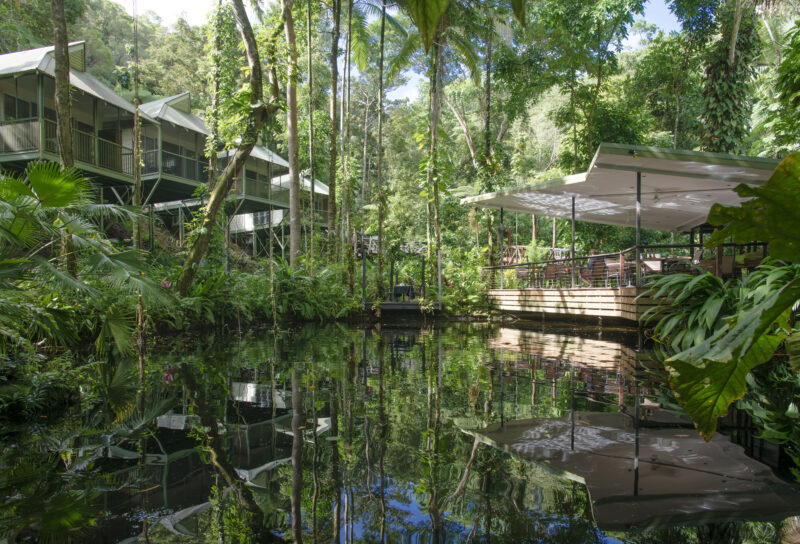 daintree-rainforest-daintree-eco-lodge-treehouse