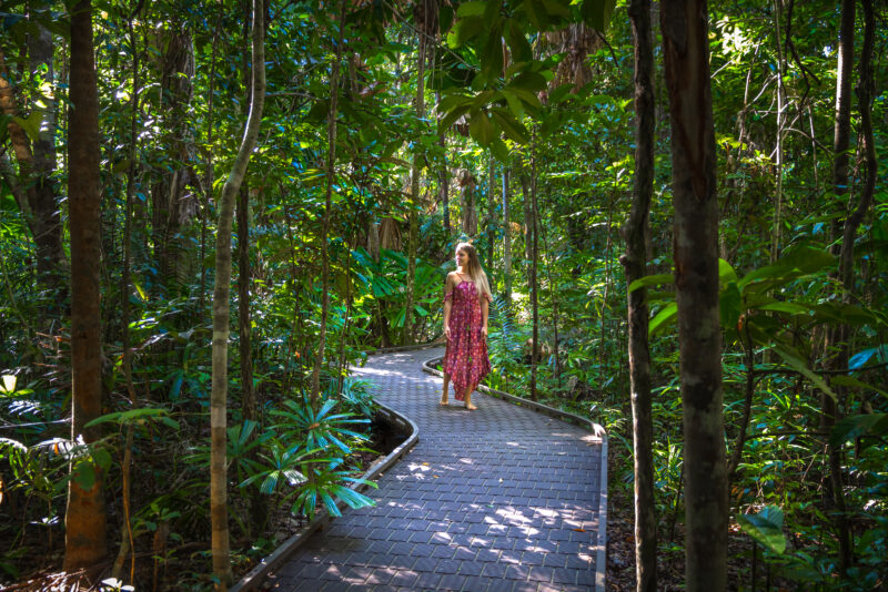 MOSSMAN GORGE 6