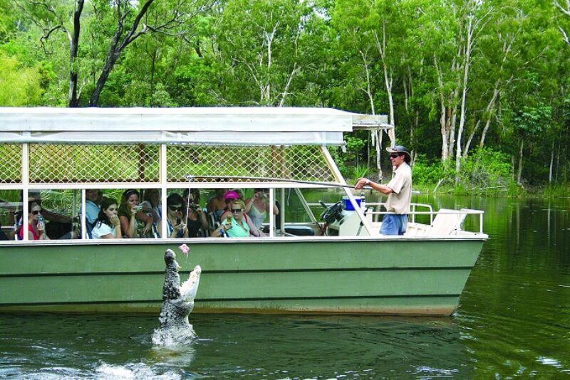 Port Douglas wildlife croc feeding