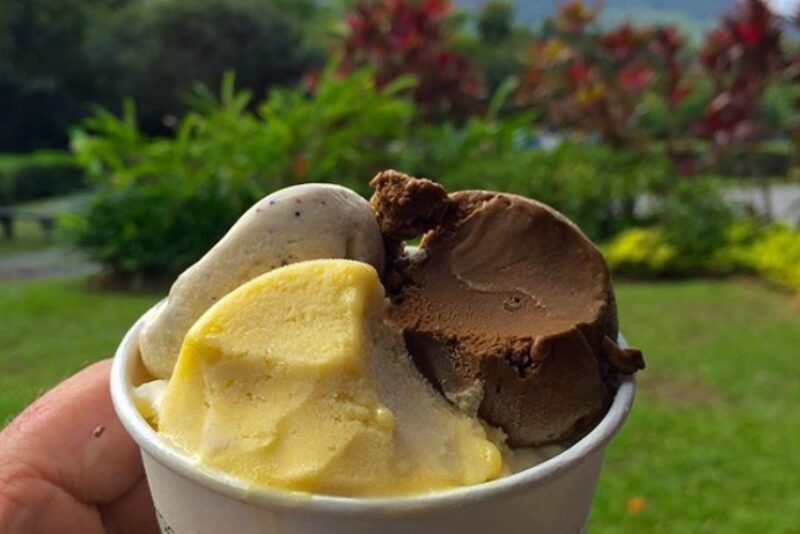 daintree-icecream-company-port-douglas-daintree-local-foods-trio