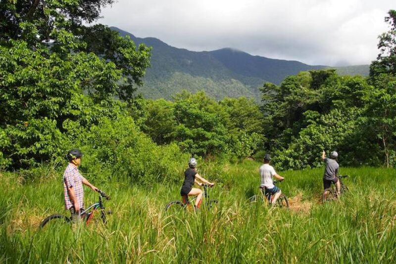 daintree-rainforest-freeride-bike-tours-mountain-biking