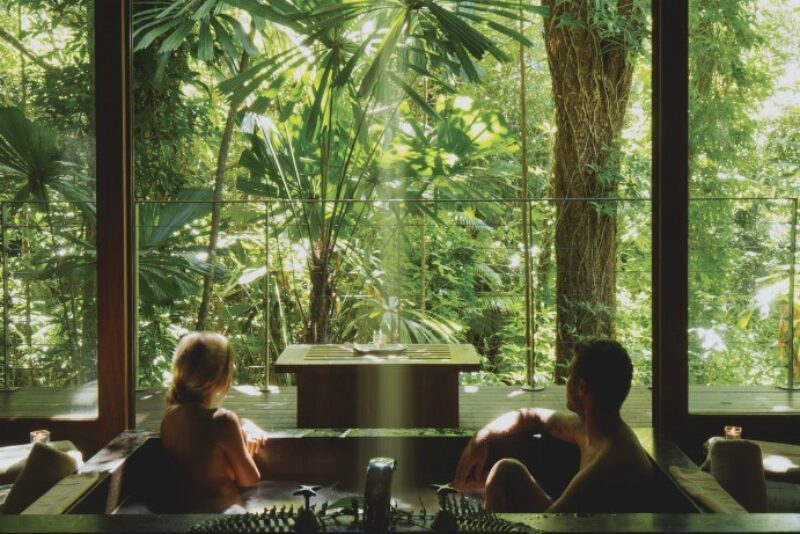 silky-oaks-lodge-accommodation-healing-waters-spa-daintree-rainforest