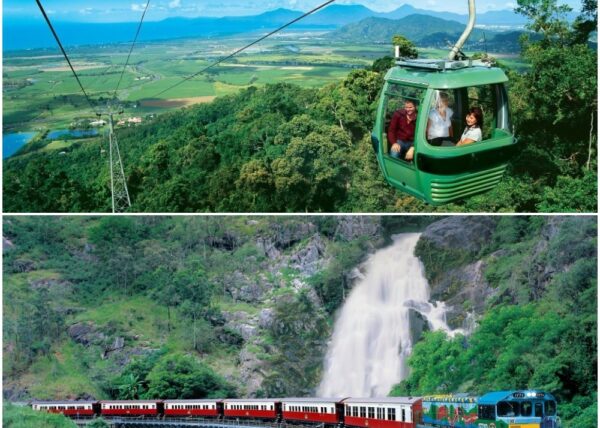 great barrier reef day tour from port douglas