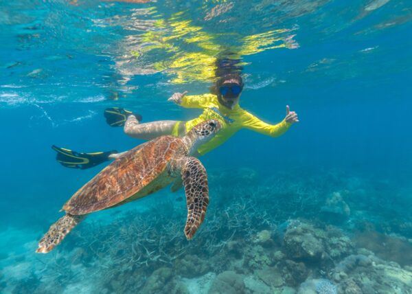 low isles snorkelling tour