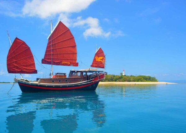 low isles snorkelling tour