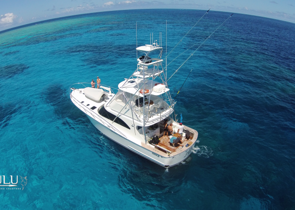 reef tours port douglas