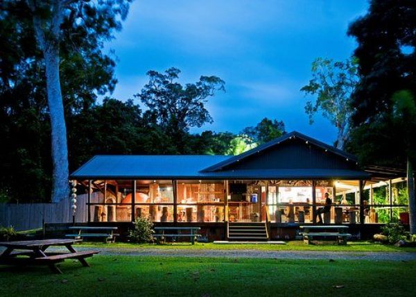 tour cape tribulation daintree