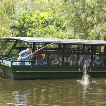 Boat Cruise Hartleys Lagoon