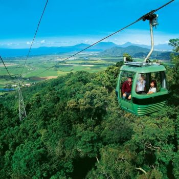 Bretts Single Skyrail