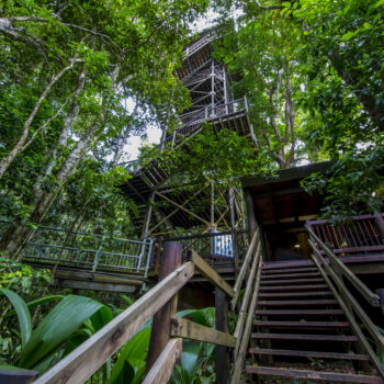 Daintree Discovery Centre