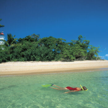 low-isles-port-douglas-snorkelling-off-island