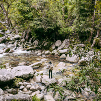 daintree-rainforest-mossman-gorge-ranger-standing-on-rock