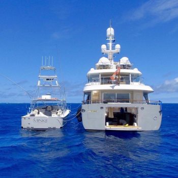 Belugaxpeditions 290946122 450650683565446 7565876709881449874 n