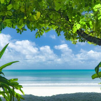 Cape tribulation beach through trees 2