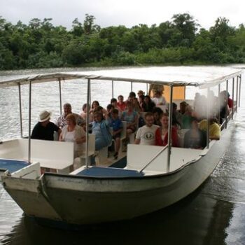 Daintreerivercruisecentre Boat Cruise