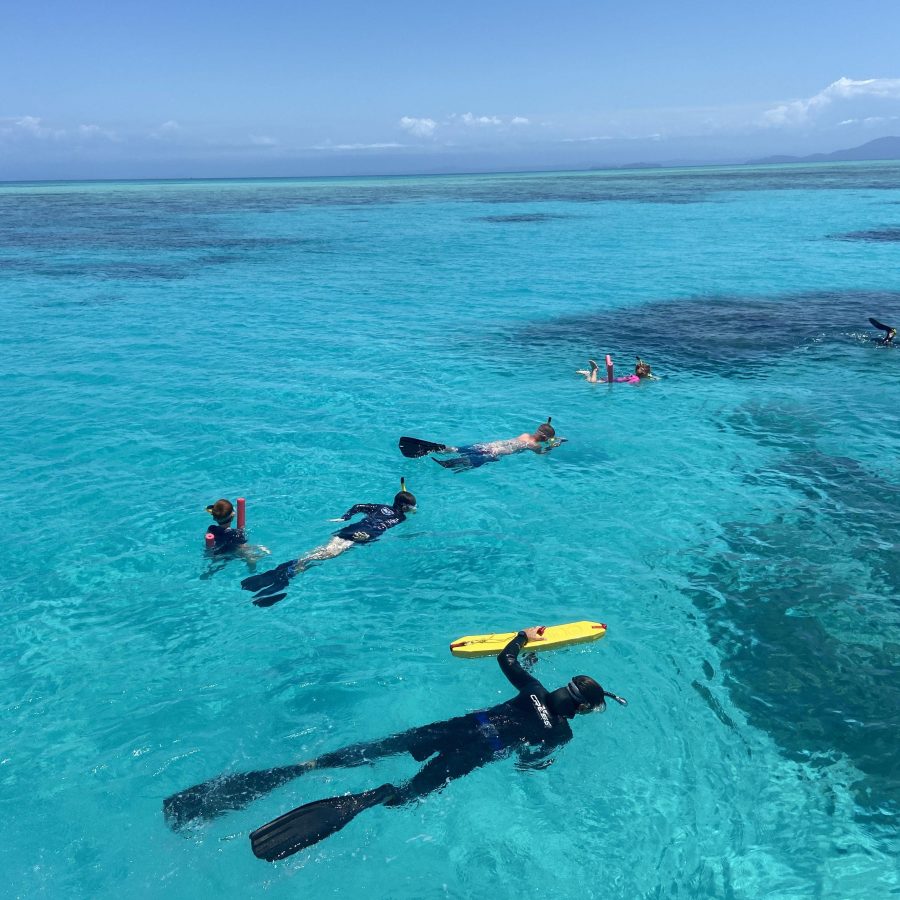 abc tours port douglas