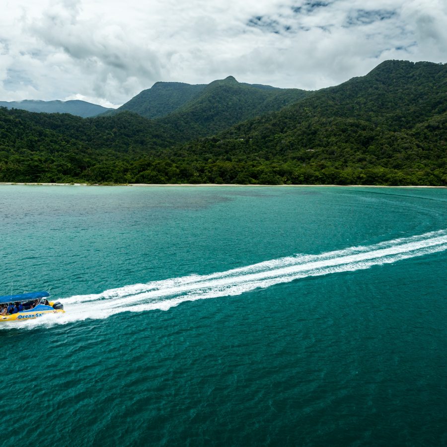 ocean safari port douglas