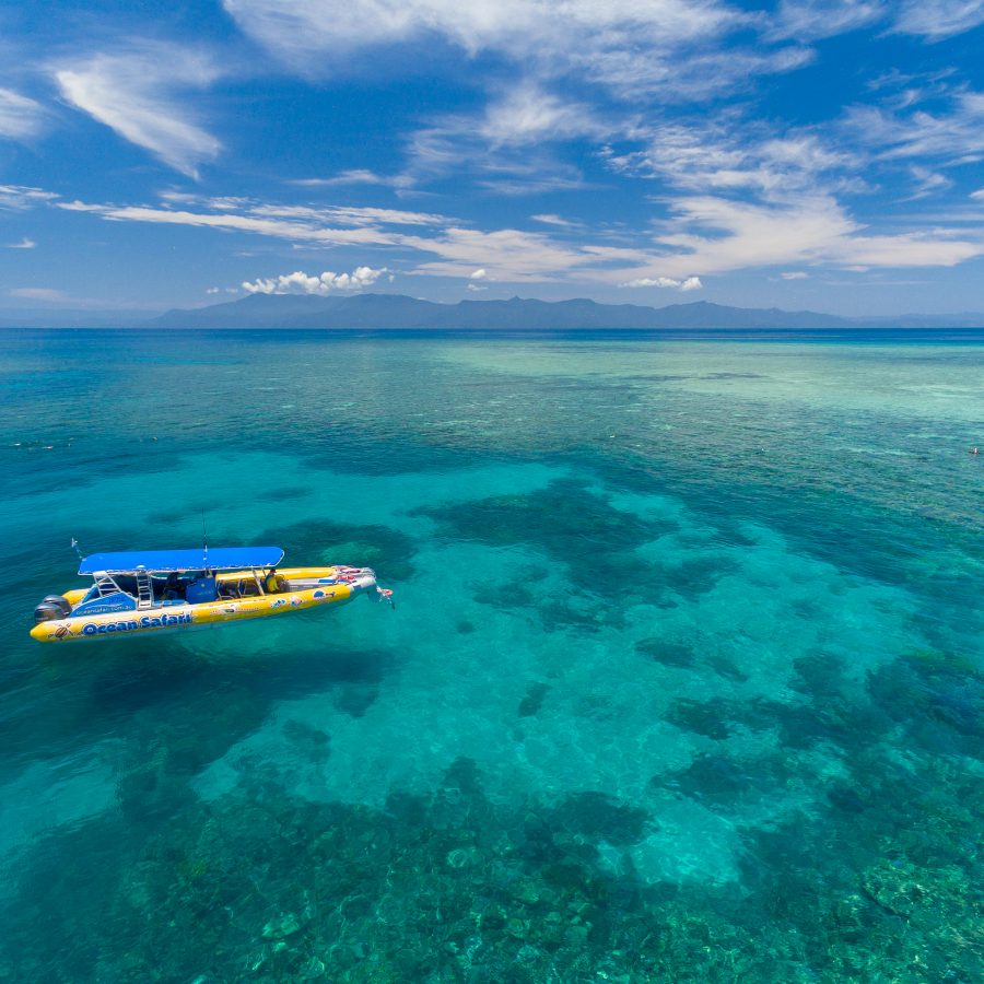 ocean safari port douglas