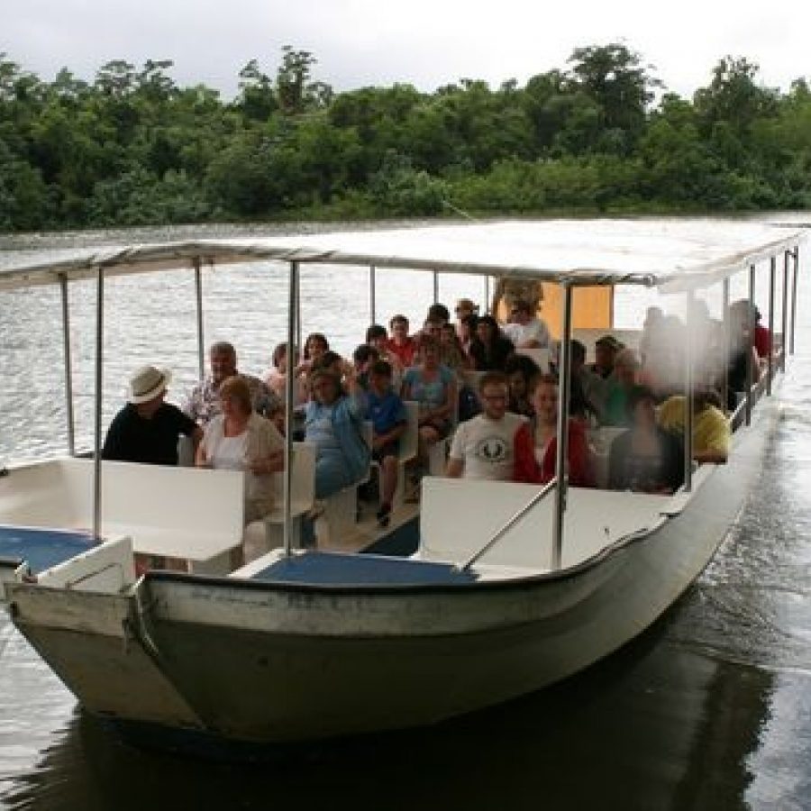 daintree river cruise from port douglas