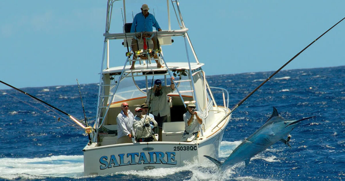 Fishing in Port Douglas