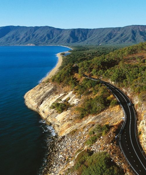 tropical journeys daintree