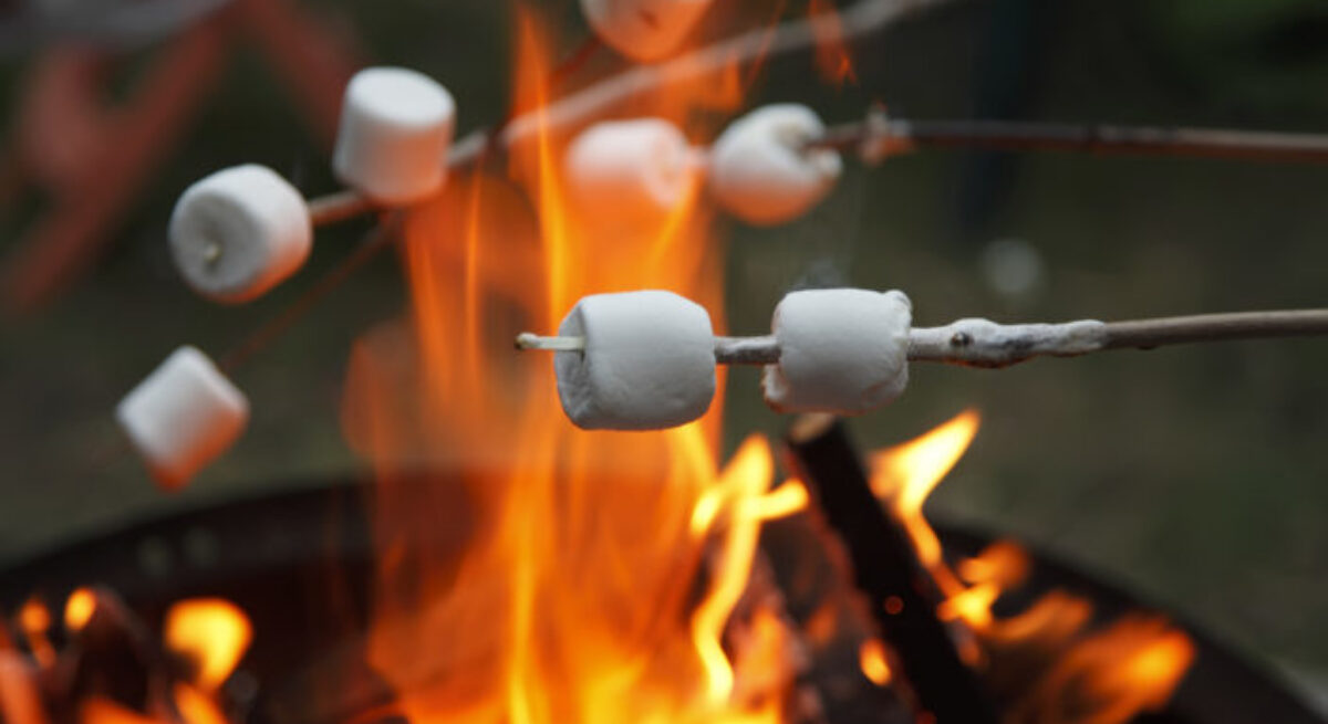 port-douglas-daintree-roasting-marshmallows-fire-camping