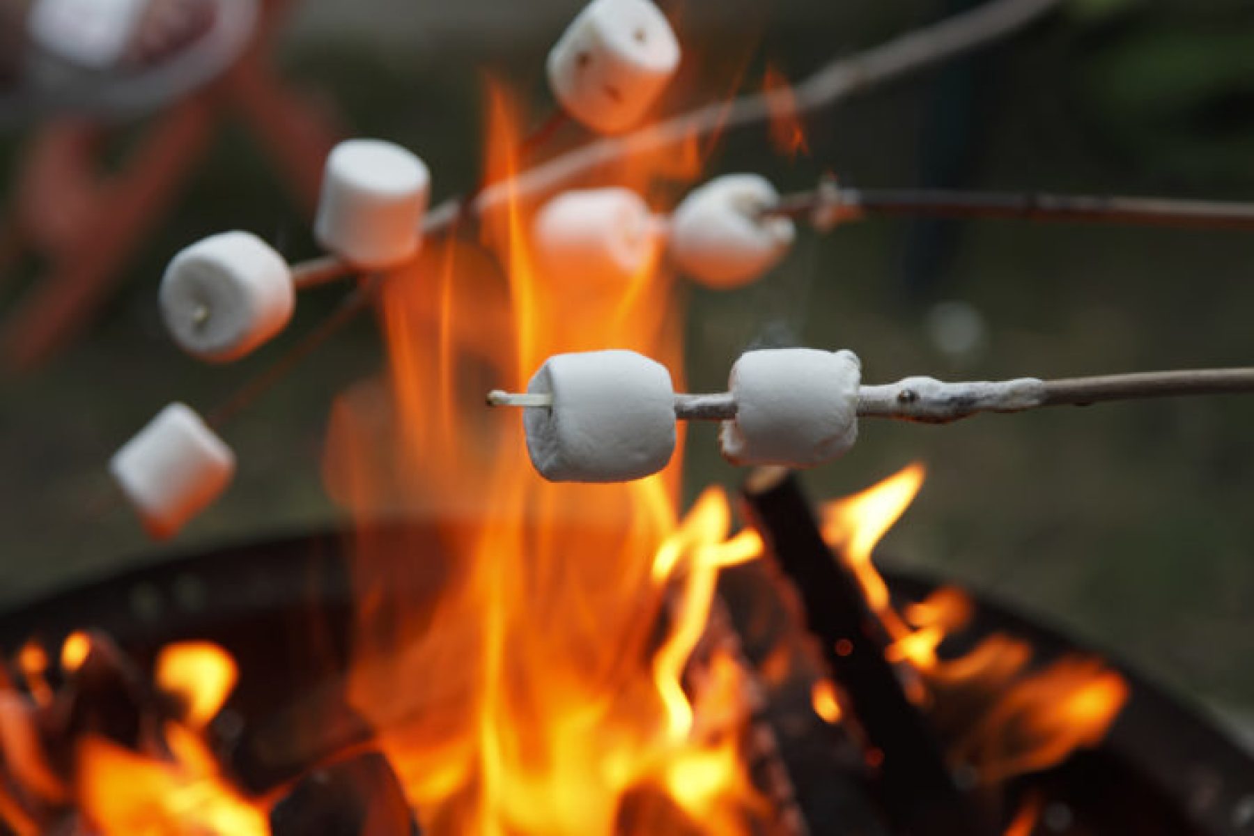 port-douglas-daintree-roasting-marshmallows-fire-camping