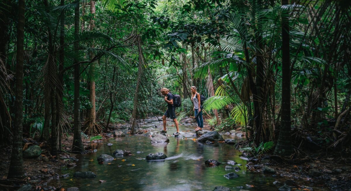 couple-hiking-daintree-rainforest