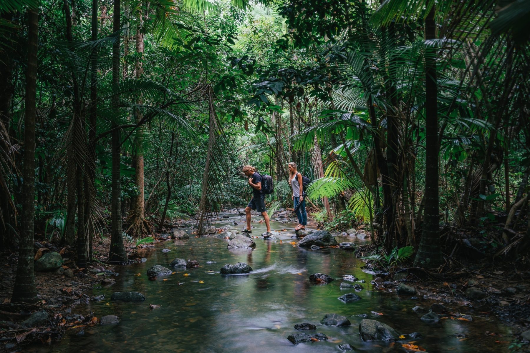 couple-hiking-daintree-rainforest